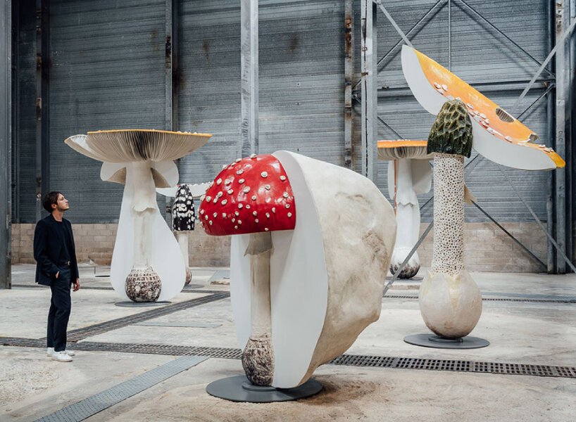 卡斯滕·霍勒(carsten höller)为展览“新的长期项目”复制了有毒、致幻的蘑菇 卡斯滕·霍勒(carsten höller)为展览“新的长期项目”复制了有毒、致幻的蘑菇