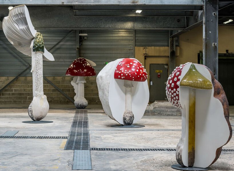 卡斯滕·霍勒(carsten höller)为展览“新的长期项目”复制了有毒、致幻的蘑菇 卡斯滕·霍勒(carsten höller)为展览“新的长期项目”复制了有毒、致幻的蘑菇