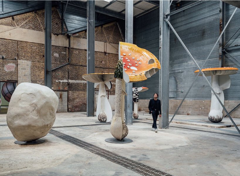 卡斯滕·霍勒(carsten höller)为展览“新的长期项目”复制了有毒、致幻的蘑菇 卡斯滕·霍勒(carsten höller)为展览“新的长期项目”复制了有毒、致幻的蘑菇