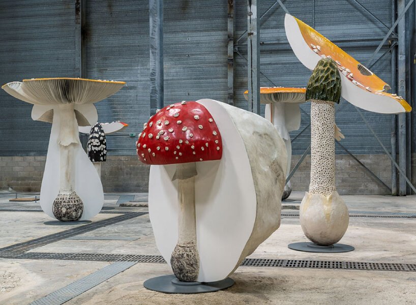 卡斯滕·霍勒(carsten höller)为展览“新的长期项目”复制了有毒、致幻的蘑菇 卡斯滕·霍勒(carsten höller)为展览“新的长期项目”复制了有毒、致幻的蘑菇