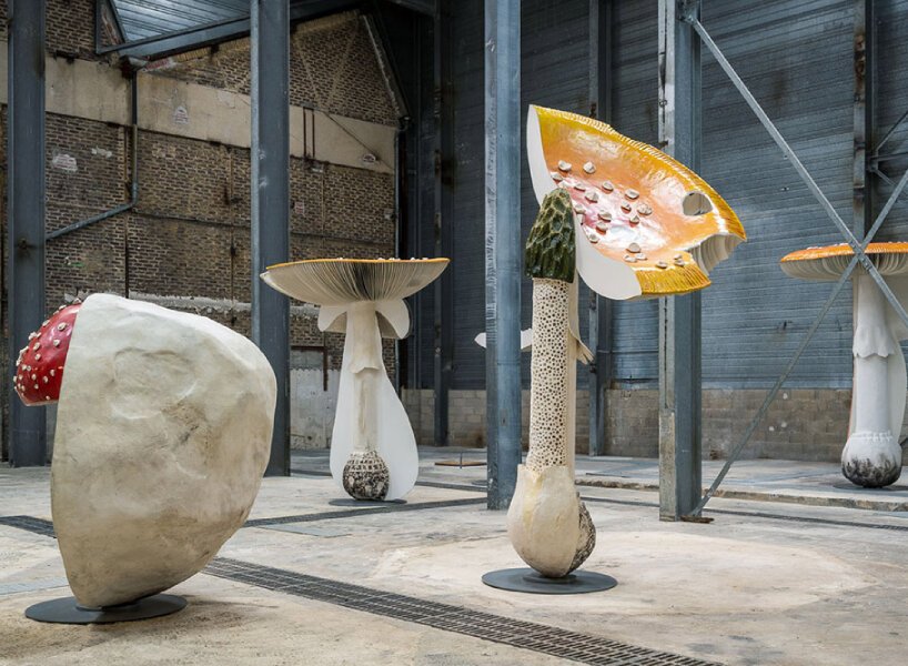 卡斯滕·霍勒(carsten höller)为展览“新的长期项目”复制了有毒、致幻的蘑菇 卡斯滕·霍勒(carsten höller)为展览“新的长期项目”复制了有毒、致幻的蘑菇