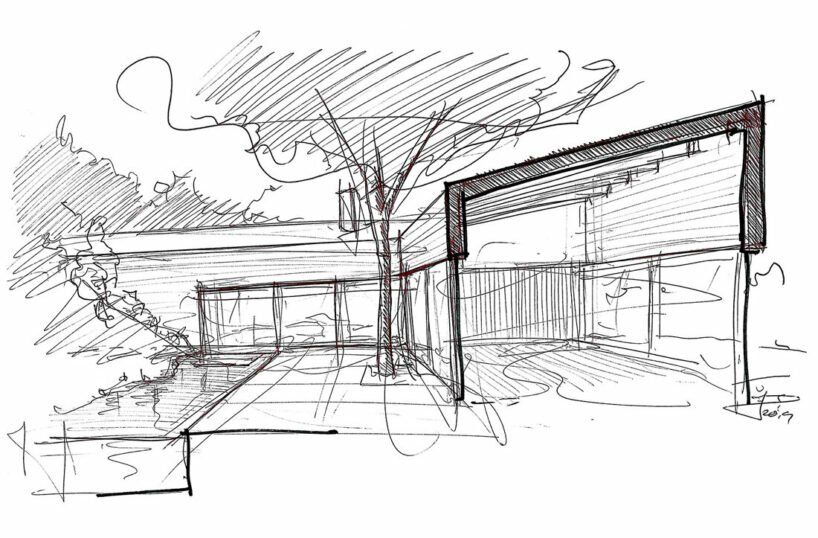葡萄牙 OODA casa COM 的中央庭院与周围的自然环境融为一体