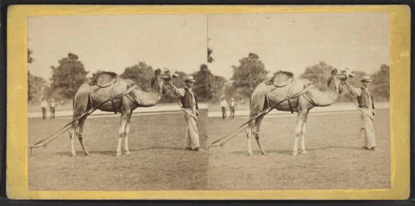 走进档案:景观设计杰作——中央公园设计 走进档案:景观设计杰作——中央公园设计