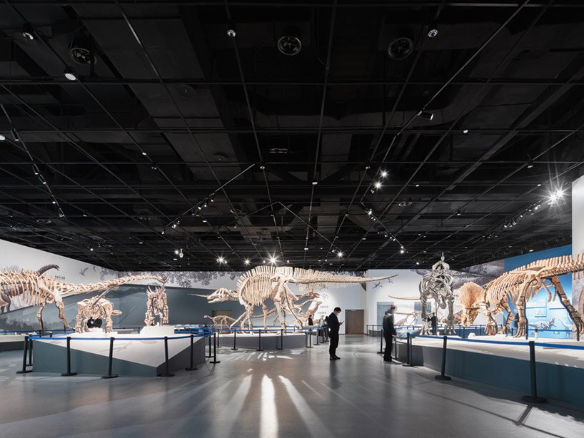 成都自然历史博物馆类似于多孔花岗岩的整体地貌