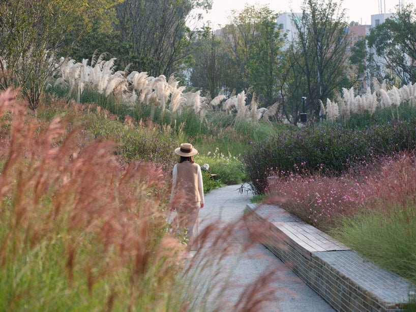 成都自然历史博物馆类似于多孔花岗岩的整体地貌