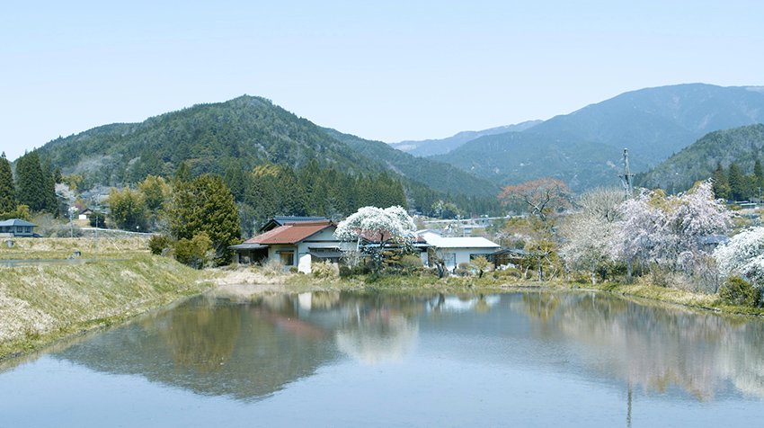 这部短片捕捉了一座拥有 175 年历史的日本房屋的美丽 这部短片捕捉了一座拥有 175 年历史的日本房屋的美丽