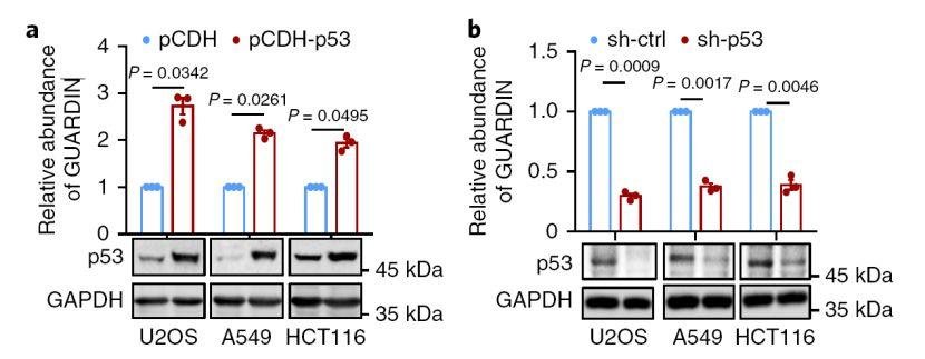 吴缅:lncRNA 神人 2 个月连发 PNAS 和 Nature 子刊