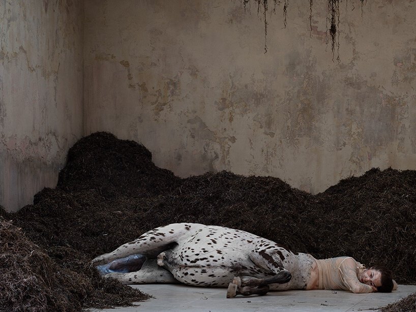 丹麦馆在威尼斯艺术双年展上推出超人类装置“我们走过地球” 丹麦馆在威尼斯艺术双年展上推出超人类装置“我们走过地球”