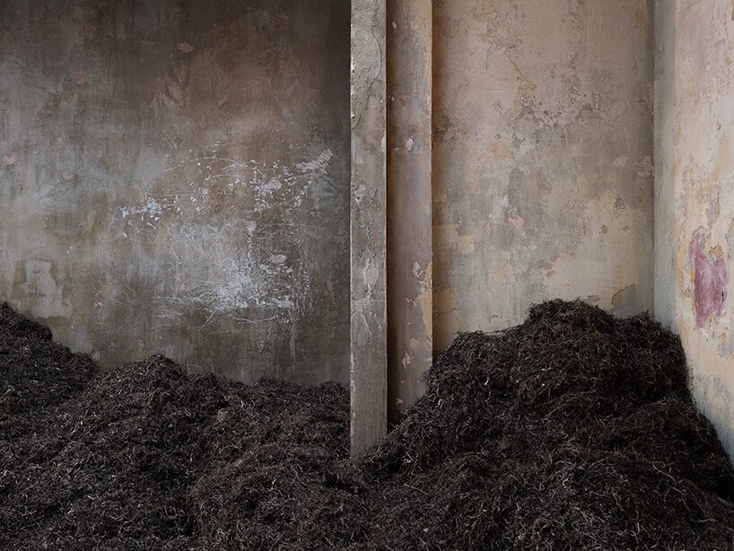 丹麦馆在威尼斯艺术双年展上推出超人类装置“我们走过地球” 丹麦馆在威尼斯艺术双年展上推出超人类装置“我们走过地球”