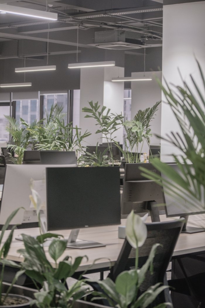 DARAZ 办公室由 STUDIO NEBA 设计