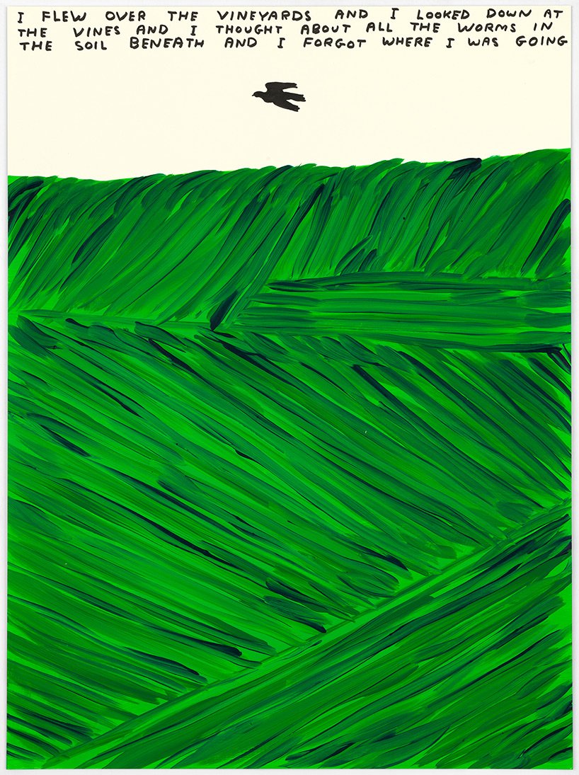 interview: david shrigley on his artistic interpretation of maison ruinart