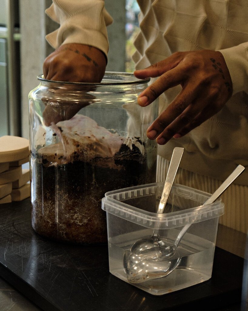 fermentation david zilber