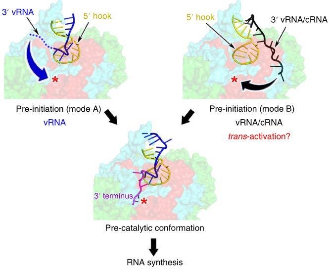中科院高福院士课题组 2019 年发表的重要的研究成果