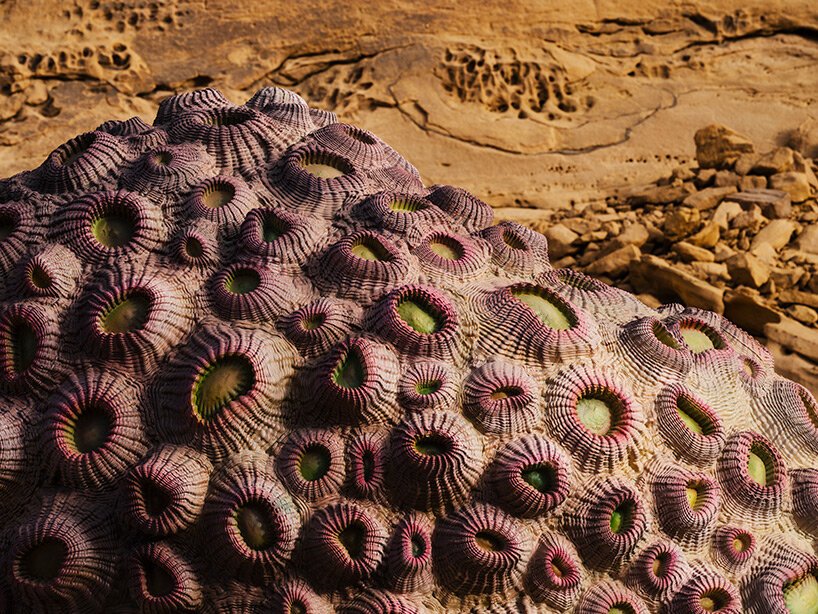 Desert X AlUla 2022 探索海市蜃楼和绿洲的理念