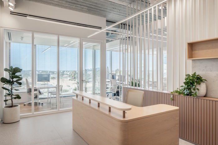 多莫斯办公室 – Ness Ziona