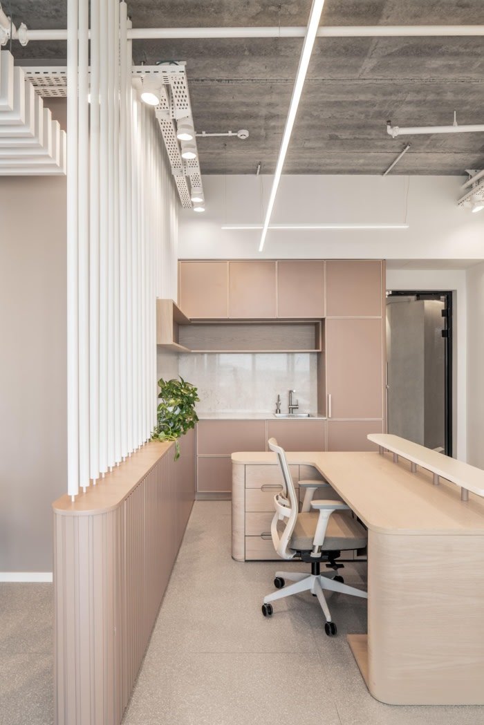 多莫斯办公室 – Ness Ziona