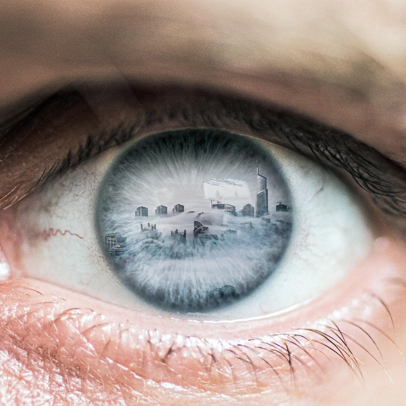 在 jyo john mulloor 的数字艺术作品中，眼睛成为自然和鸡蛋的窗户