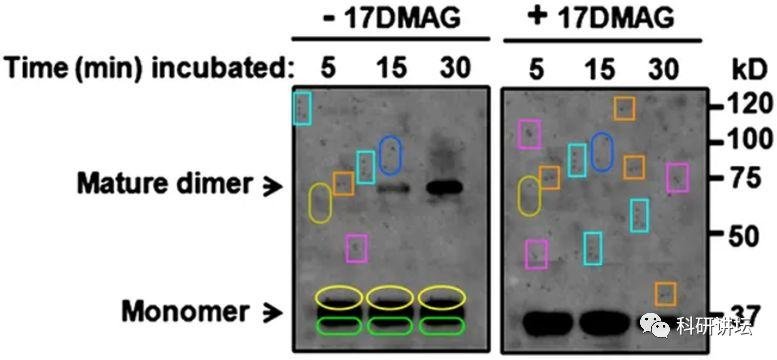 印度院士被举报 16 篇 SCI 论文造假，却赖账不承认