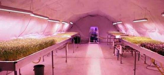 十个令人难以置信的废弃建筑改造,你还能认出它吗? 十个令人难以置信的废弃建筑改造,你还能认出它吗?