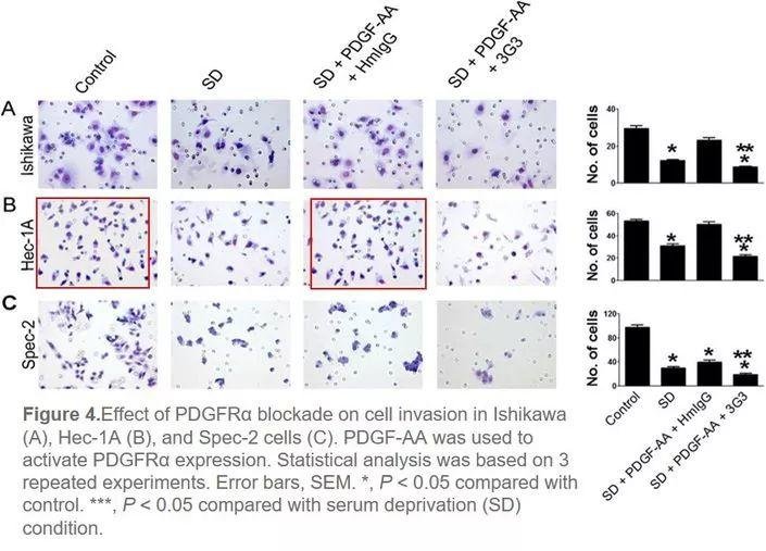 著名韩国癌症研究科学家 Ju-Seog Lee 多篇论文涉嫌学术不端