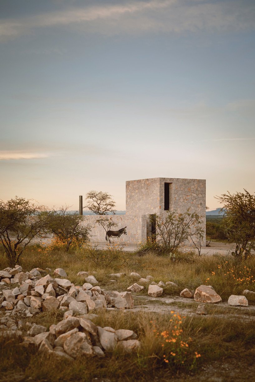 dispersed stone volumes and alleys develop a cruciform residential plan in mexico