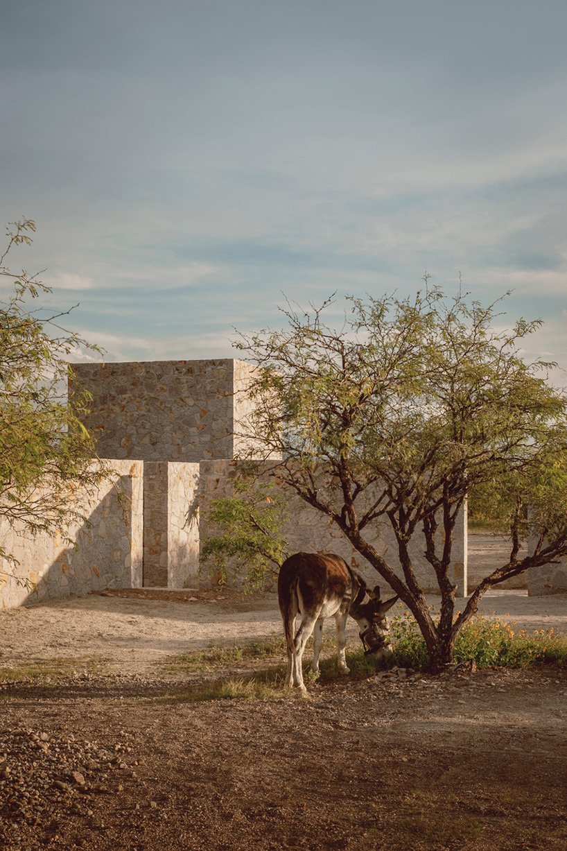 dispersed stone volumes and alleys develop a cruciform residential plan in mexico