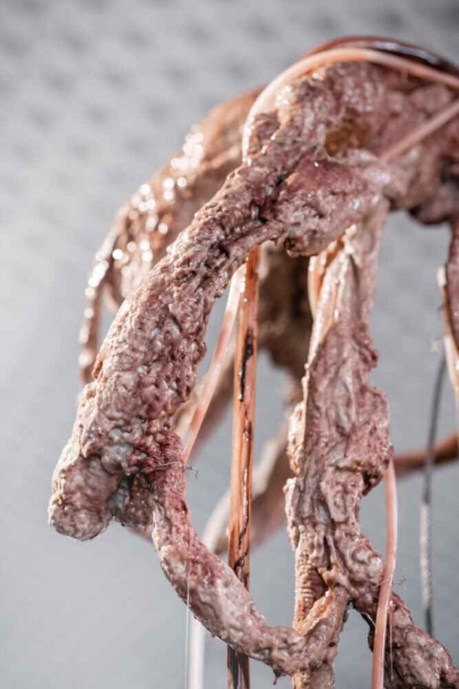 柏林的“HR giger & mire lee”反乌托邦宇宙融合了色情、暴力和死亡 柏林的“HR giger & mire lee”反乌托邦宇宙融合了色情、暴力和死亡