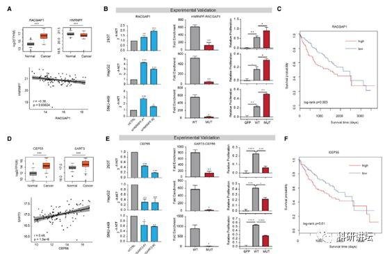 李霞教授在肿瘤组学大数据研究中一年内连发 3 篇顶刊 SCI