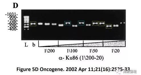 英国伦敦国王学院医院的血液科主任被指论文 9 篇造假