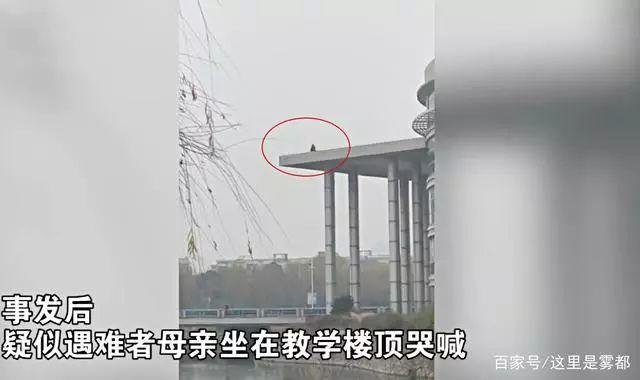 南京邮电大学通报张宏梅问题处理结果: 撤销教师资格