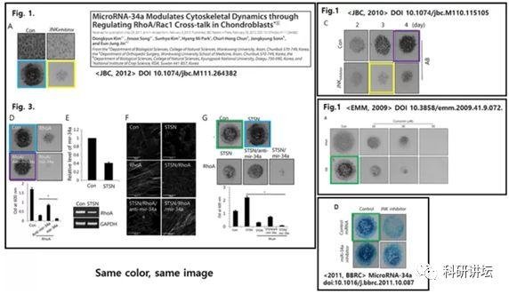 韩国圆光大学 Eun-Jung Jin 教授被指论文造假