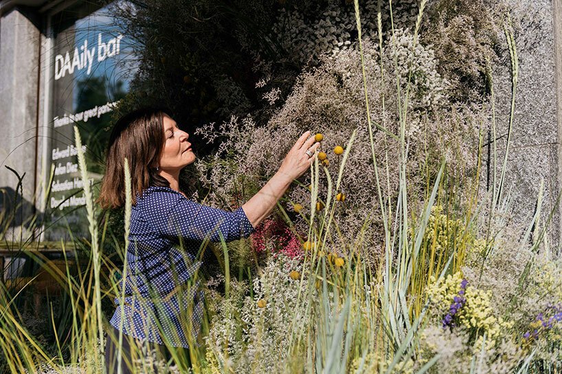 巴黎丽兹花女爵士 anne vitchen 用花卉装置入侵 DAAily 酒吧 巴黎丽兹花女爵士 anne vitchen 用花卉装置入侵 DAAily 酒吧