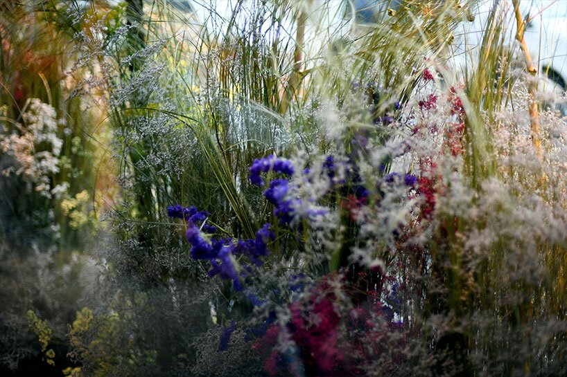 巴黎丽兹花女爵士 anne vitchen 用花卉装置入侵 DAAily 酒吧 巴黎丽兹花女爵士 anne vitchen 用花卉装置入侵 DAAily 酒吧