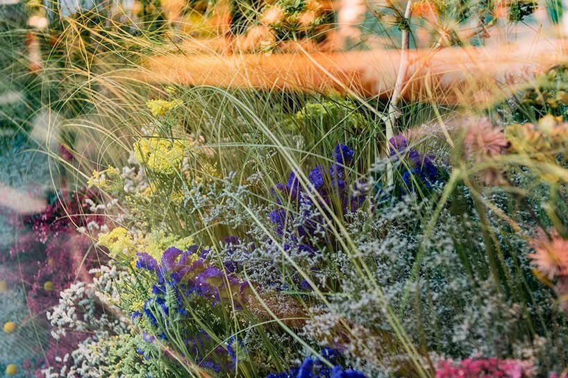 巴黎丽兹花女爵士 anne vitchen 用花卉装置入侵 DAAily 酒吧 巴黎丽兹花女爵士 anne vitchen 用花卉装置入侵 DAAily 酒吧