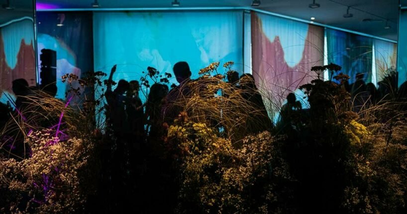 巴黎丽兹花女爵士 anne vitchen 用花卉装置入侵 DAAily 酒吧 巴黎丽兹花女爵士 anne vitchen 用花卉装置入侵 DAAily 酒吧