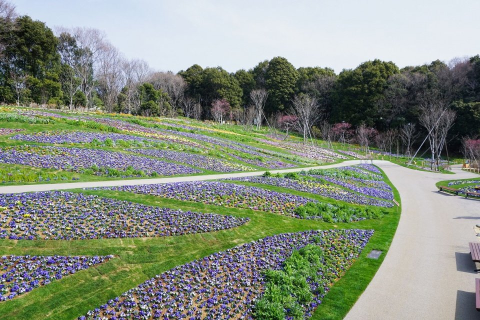 里山花园，横滨 / 户田芳树风景计画