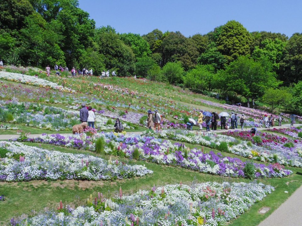 里山花园，横滨 / 户田芳树风景计画