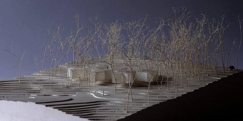 florian-busch-house-in-the-forest-hokkaido-japan-designboom-50