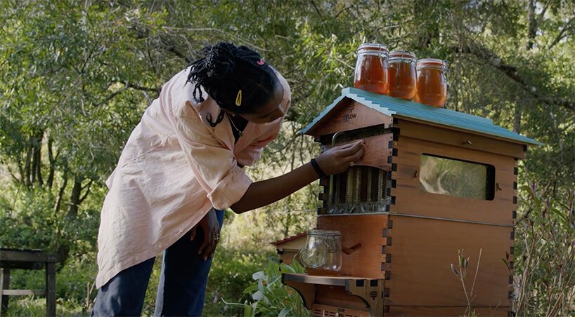 “flow hive”可让您直接从蜂箱中提取原蜜