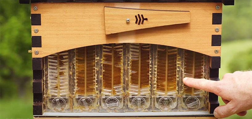 “flow hive”可让您直接从蜂箱中提取原蜜
