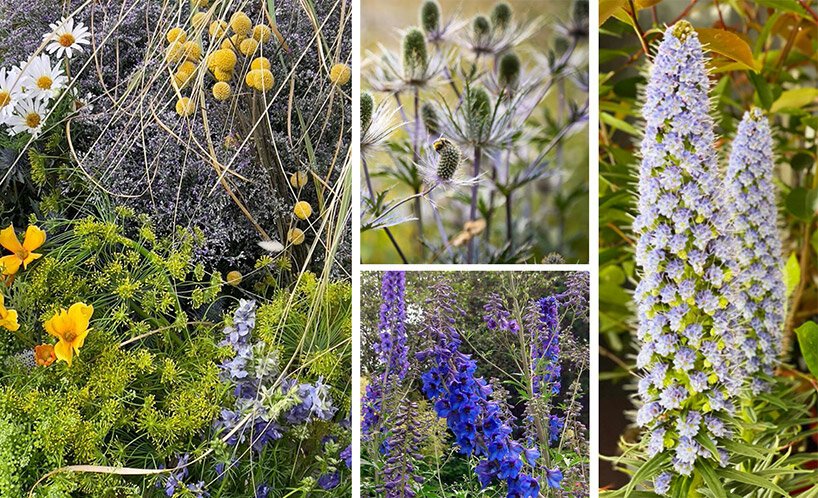 2022 年米兰设计周期间，DAAily 酒吧热闹非凡