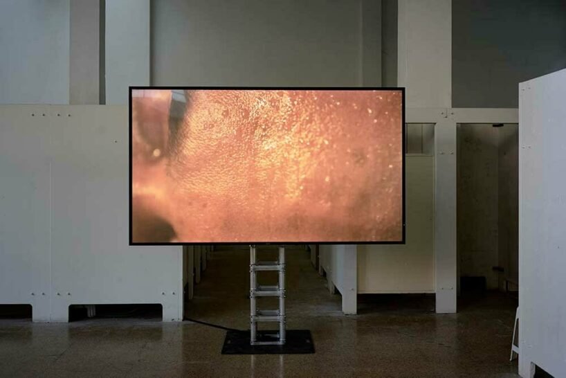 nari ward 的“镀金黑暗”由 nicola trussardi 基金会设计,反映了当今的社会问题 nari ward 的“镀金黑暗”由 nicola trussardi 基金会设计,反映了当今的社会问题