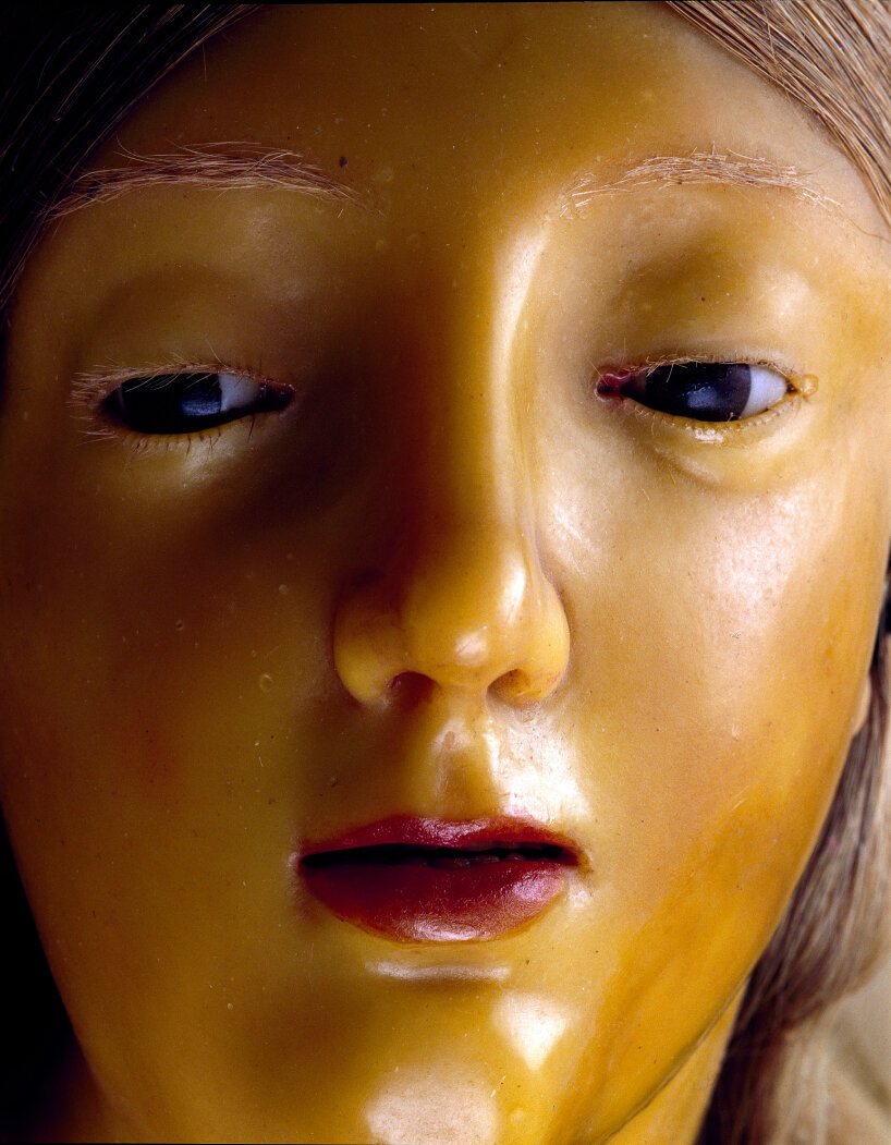 普拉达基金会和大卫·柯南伯格为解剖学展览解剖女性蜡像