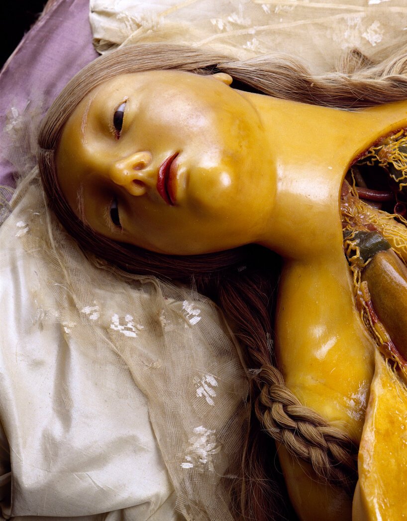 普拉达基金会和大卫·柯南伯格为解剖学展览解剖女性蜡像