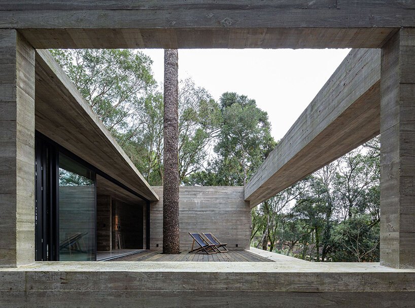 卢西亚诺·勒纳·巴索 (luciano lerner basso) 设计的这座“福图纳塔之家”中，有一棵树生长在巴西