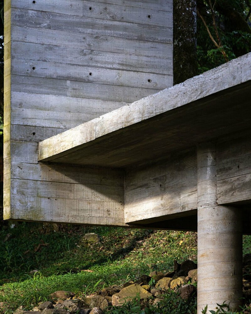 卢西亚诺·勒纳·巴索 (luciano lerner basso) 设计的这座“福图纳塔之家”中，有一棵树生长在巴西