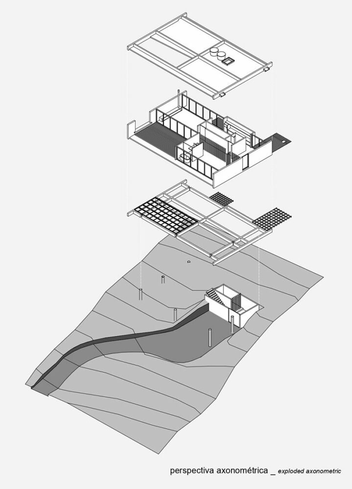 卢西亚诺·勒纳·巴索 (luciano lerner basso) 设计的这座“福图纳塔之家”中，有一棵树生长在巴西