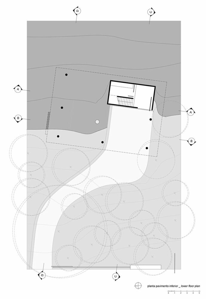 卢西亚诺·勒纳·巴索 (luciano lerner basso) 设计的这座“福图纳塔之家”中，有一棵树生长在巴西