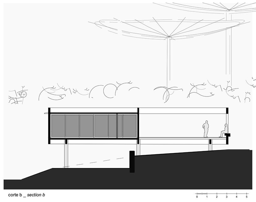 卢西亚诺·勒纳·巴索 (luciano lerner basso) 设计的这座“福图纳塔之家”中，有一棵树生长在巴西