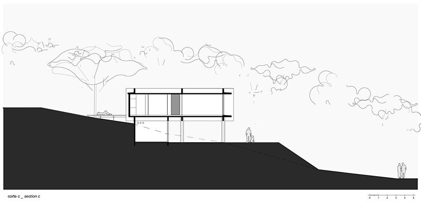 卢西亚诺·勒纳·巴索 (luciano lerner basso) 设计的这座“福图纳塔之家”中，有一棵树生长在巴西